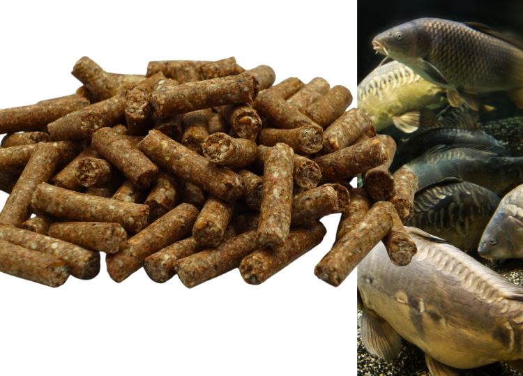 KRMNÉ PELETY ŠVESTKA & KRAB  6mm, 2kg