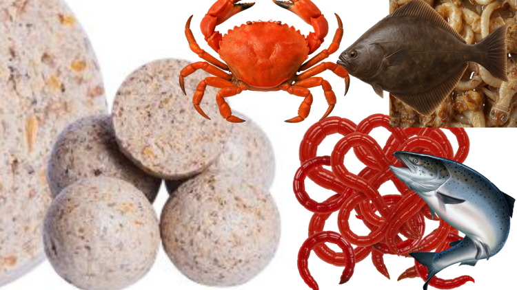 BOILIES MASOVÝ MIX - 5kg, 24mm